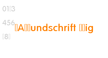 VAGRundschrift DLig