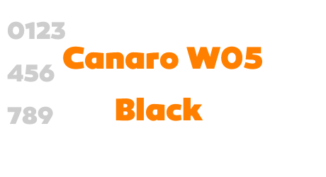 Canaro W05 Black