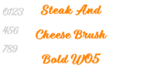 Steak And Cheese Brush Bold W05