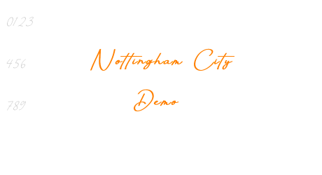 Nottingham City Demo