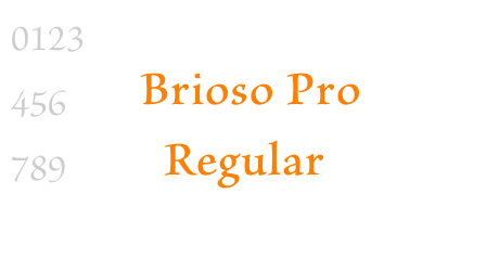 Brioso Pro Regular