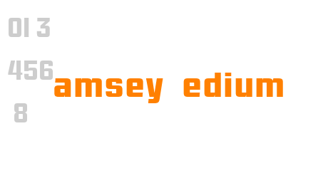 Ramsey Book