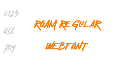 roam regular webfont