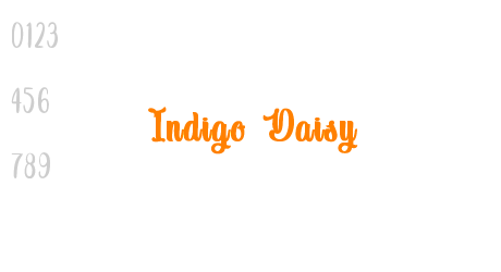 Indigo Daisy