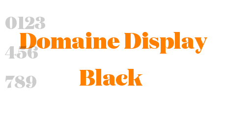 Domaine Display Black