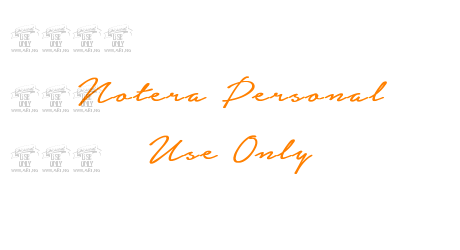 Notera Personal Use Only