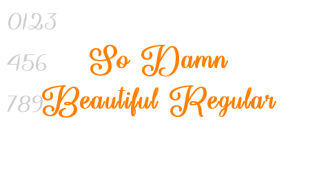 So Damn Beautiful Regular
