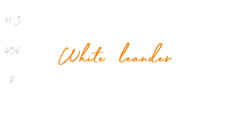 White Oleander