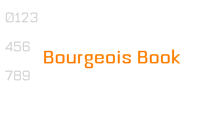 Bourgeois Book